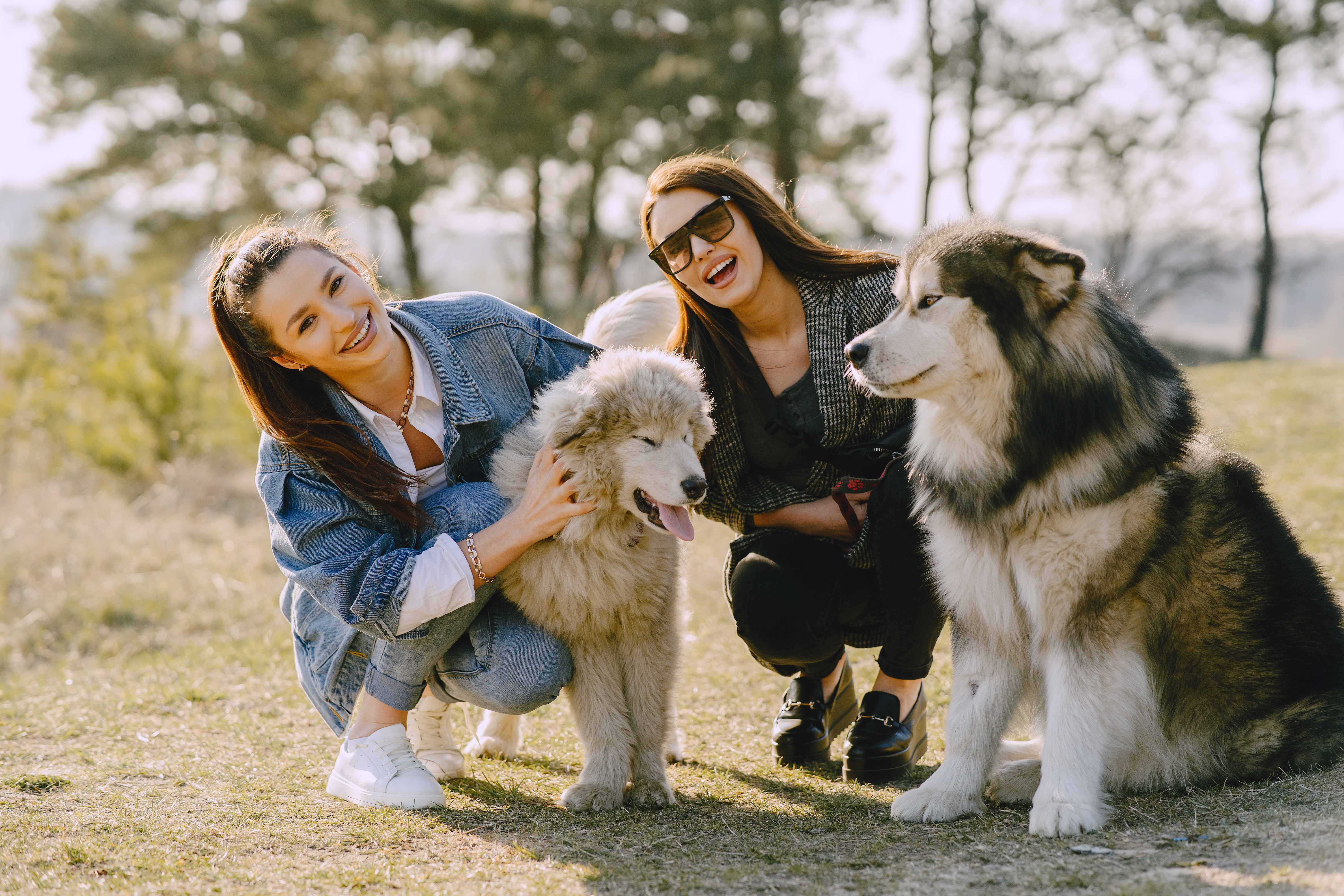 Happy pets and people in a park